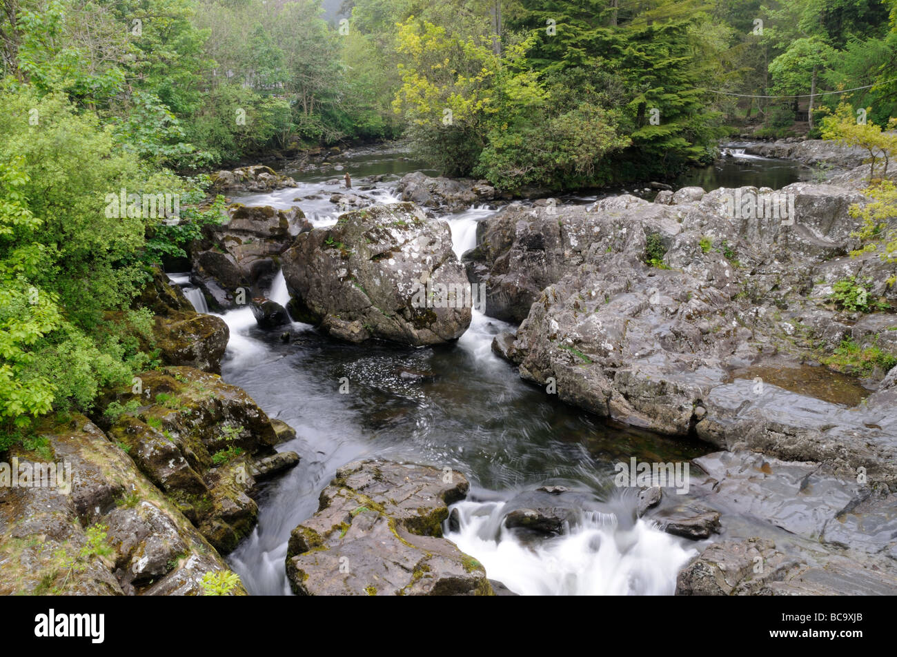 Llugwy River North Wales UK potrebbe Foto Stock