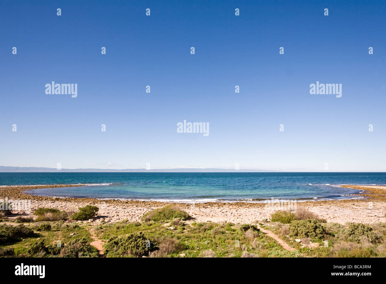 Punto umile vicino a Port Bonython, Whyalla, Sud Australia Foto Stock