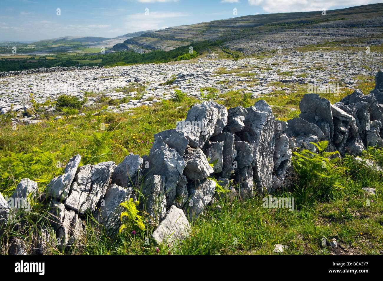 Un paesaggio vista presa nel Burren, County Clare, Eire Foto Stock