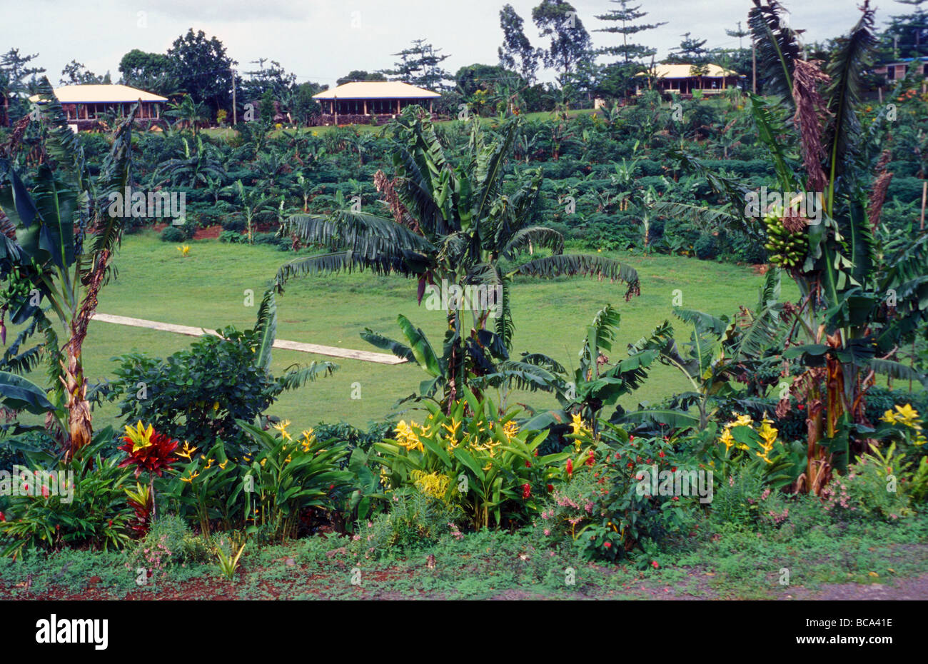 Mauga village cricket ground savaii samoa Foto Stock