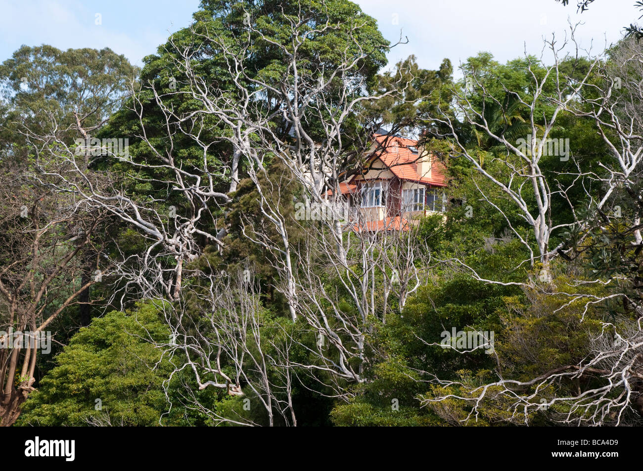 Case in Baia Mosman NSW Sydney Australia Foto Stock