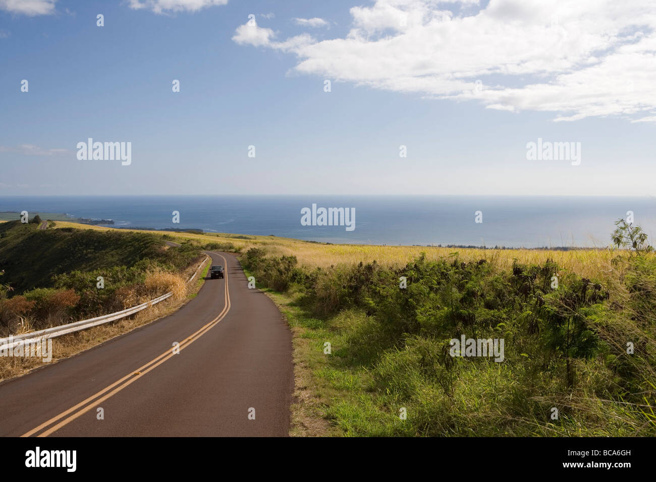 La strada attraverso campi di canna da zucchero, Waimea Canyon Drive, vicino a Waimea, Kauai, Hawaii, STATI UNITI D'AMERICA Foto Stock
