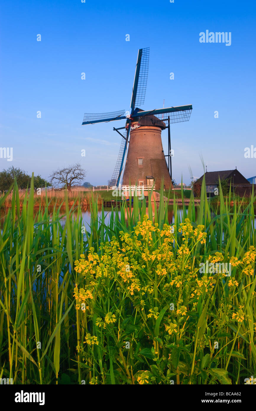 Mulini a vento a Kinderdijk, Paesi Bassi Foto Stock