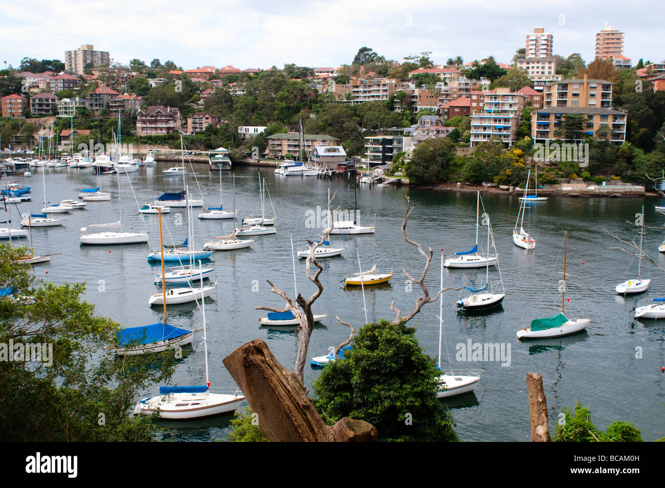 Barche a vela in Mosman Bay, Sydney, NSW, Australia Foto Stock