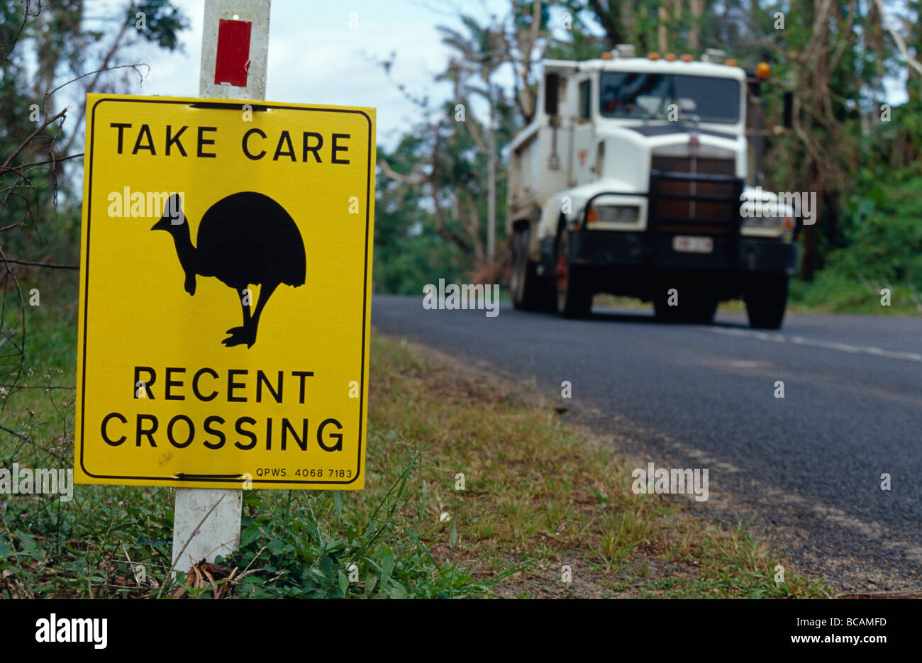 Un carrello passa una strada segno di avvertimento per evitare in via di estinzione casuari. Foto Stock