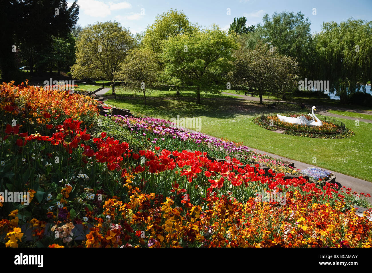 Display floreali e il famoso swan in giardini Stapenhill, Burton upon Trent, Staffordshire Foto Stock
