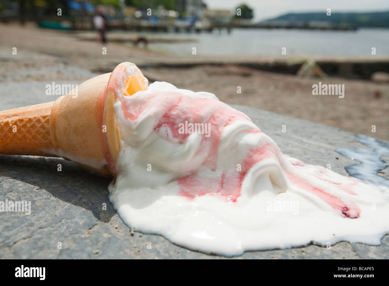 Un gelato la fusione sulle rive del lago di Windermere Cumbria Regno Unito durante la canicola estiva Foto Stock