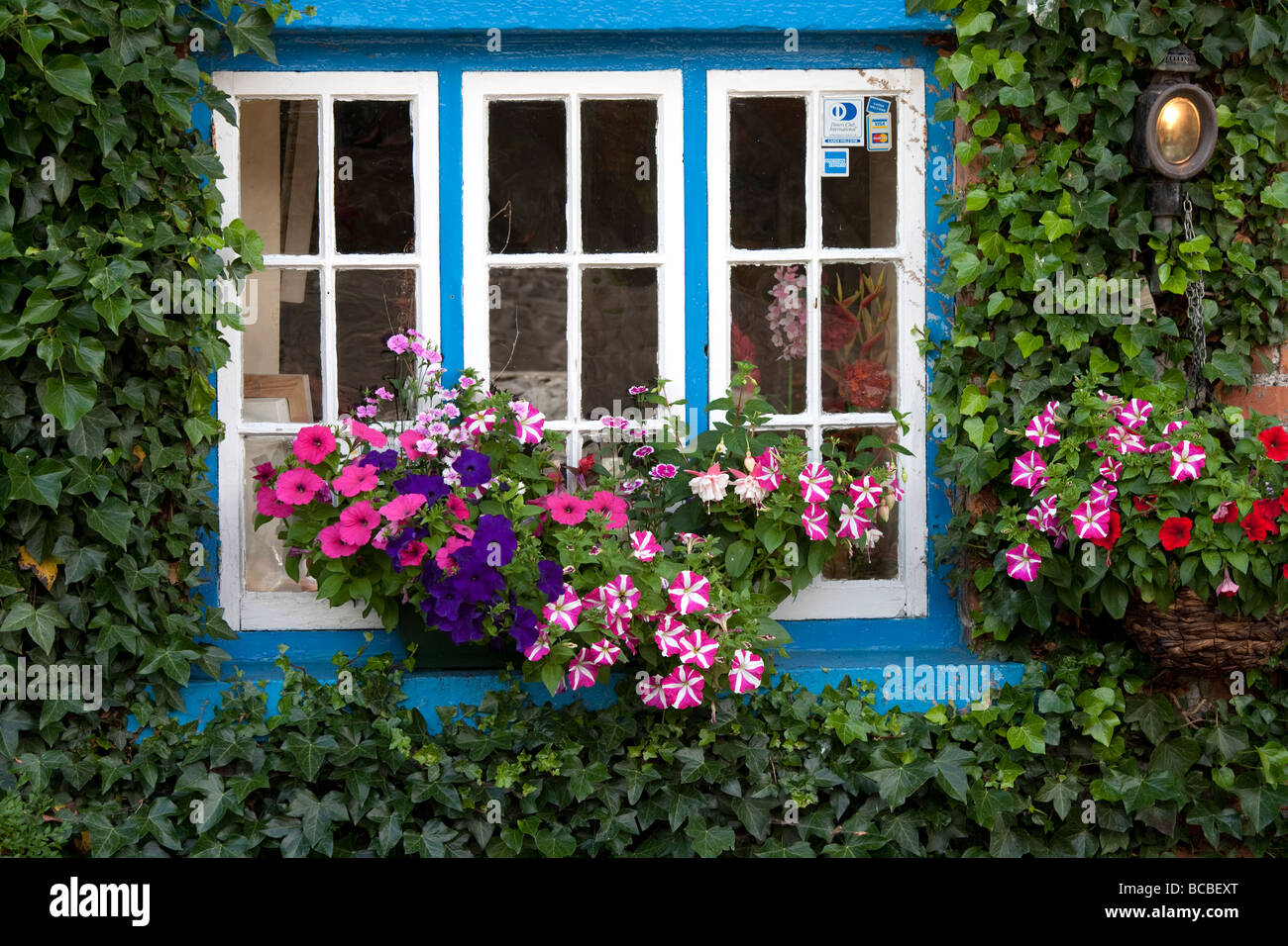 Cottage Ristorante finestra villaggio di Adare Irlanda Foto Stock