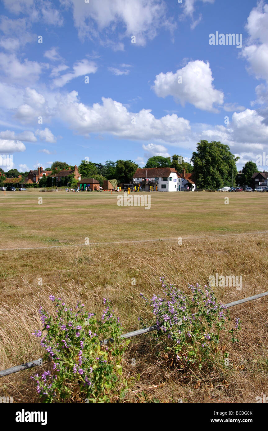 Partita di cricket, Ripley verde, Ripley, Surrey, England, Regno Unito Foto Stock