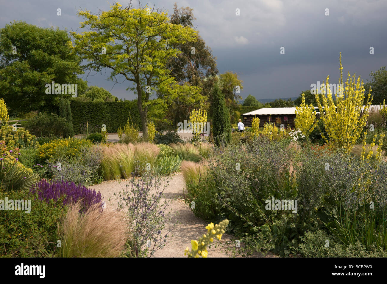 Il giardino a secco ad RHS Garden, Hyde Hall giardino, Essex England Regno Unito GB Foto Stock