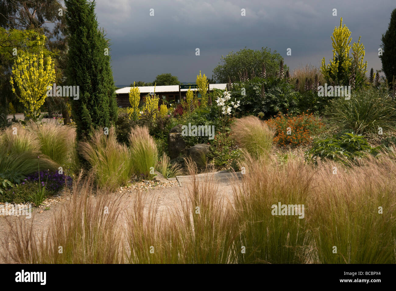 Il giardino a secco ad RHS Garden, Hyde Hall giardino, Essex England Regno Unito GB Foto Stock