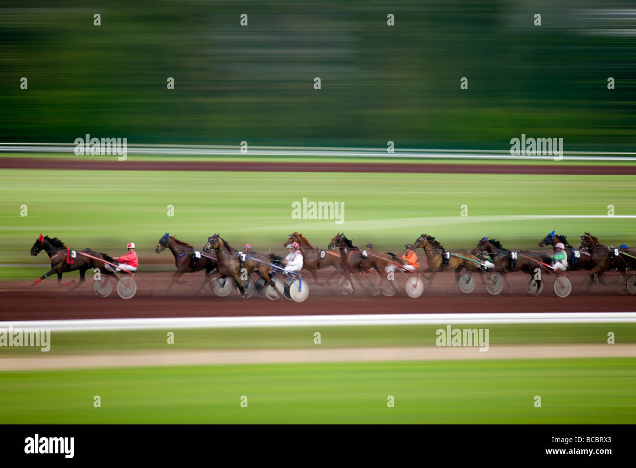 Una gara di trotto su 'Bellerive' ippodromo, a Vichy (Francia). Corso de trotto attelé sur l' Ippodromo de Vichy (Francia). Foto Stock