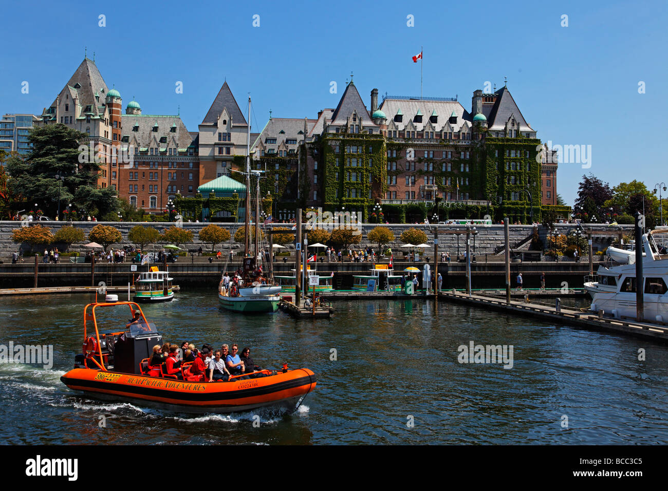 Whale watching con Zodiac barche di Vancouver Island Victoria Canada America del Nord Foto Stock