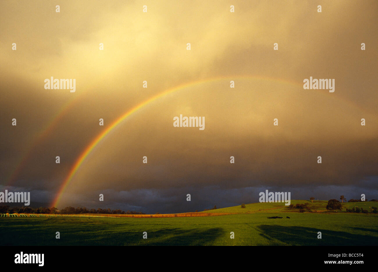 Uno spettacolare doppio arcobaleno e nuvole temporalesche su terreni agricoli. Foto Stock