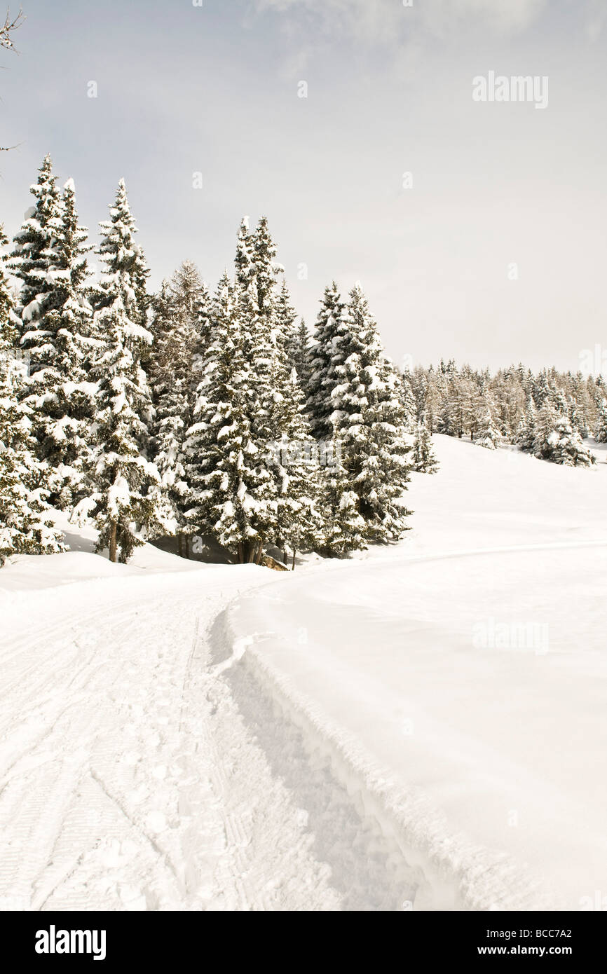 Paesaggi invernali Torgnon Aosta Italia Foto Stock