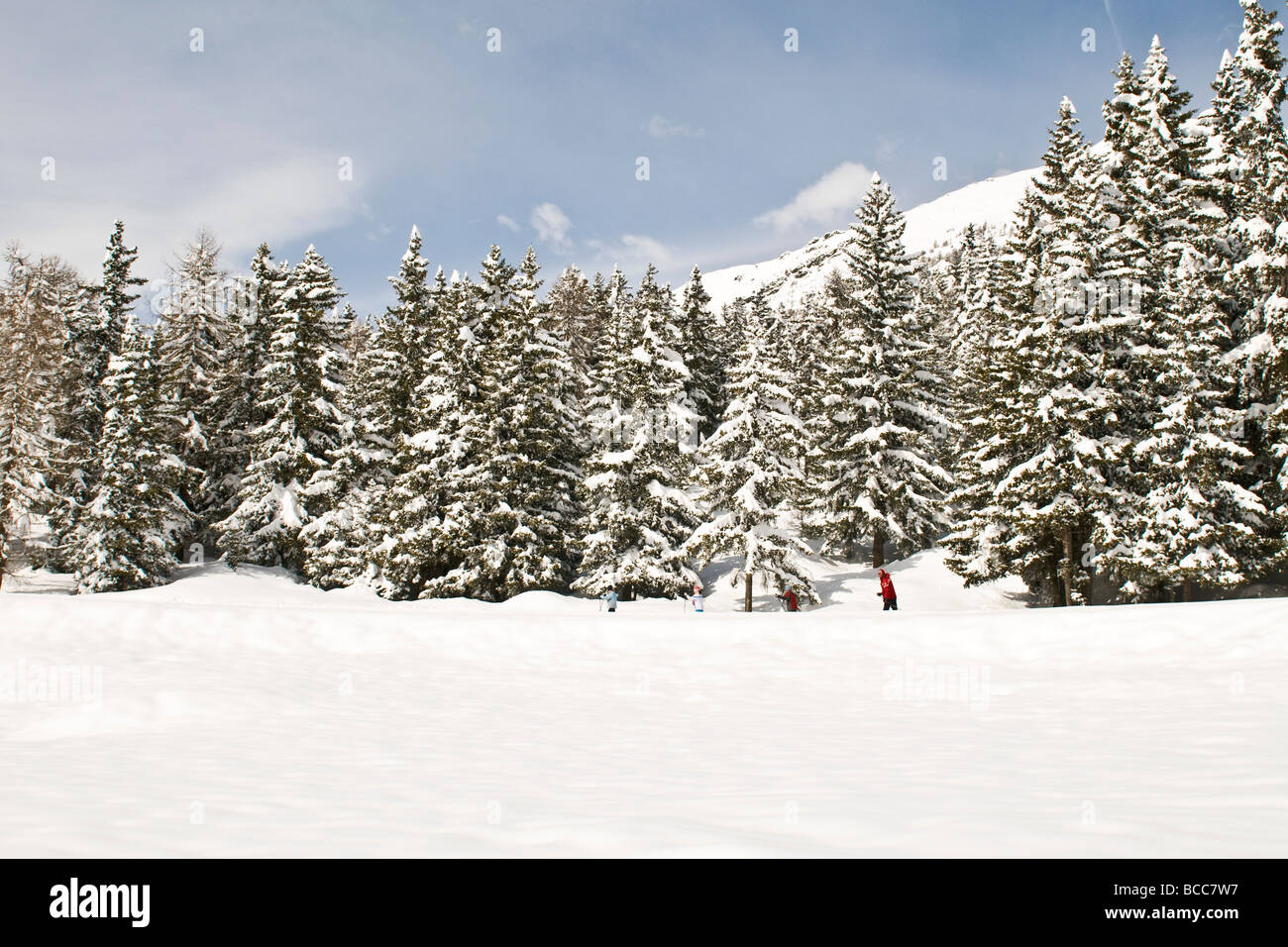 Paesaggi invernali Torgnon Aosta Italia Foto Stock