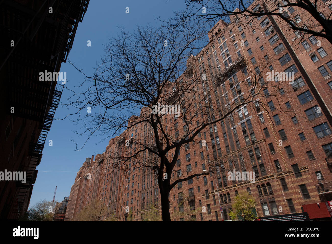 Londra giardini a terrazza Building di New York USA Maggio 2009 Foto Stock