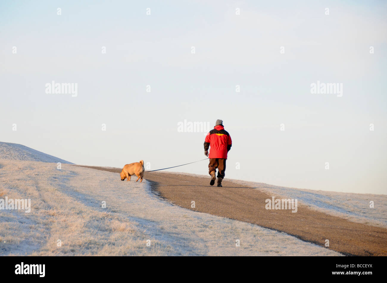 Dog walker, Frost scena in inverno, Inghilterra Foto Stock