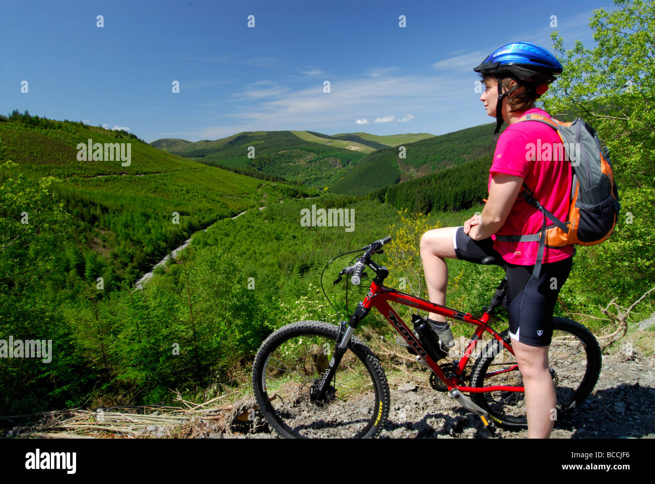 Ciclista guardando a vista sulla foresta Dyfi cercando di colline Tarren Powys Mid Wales UK Foto Stock