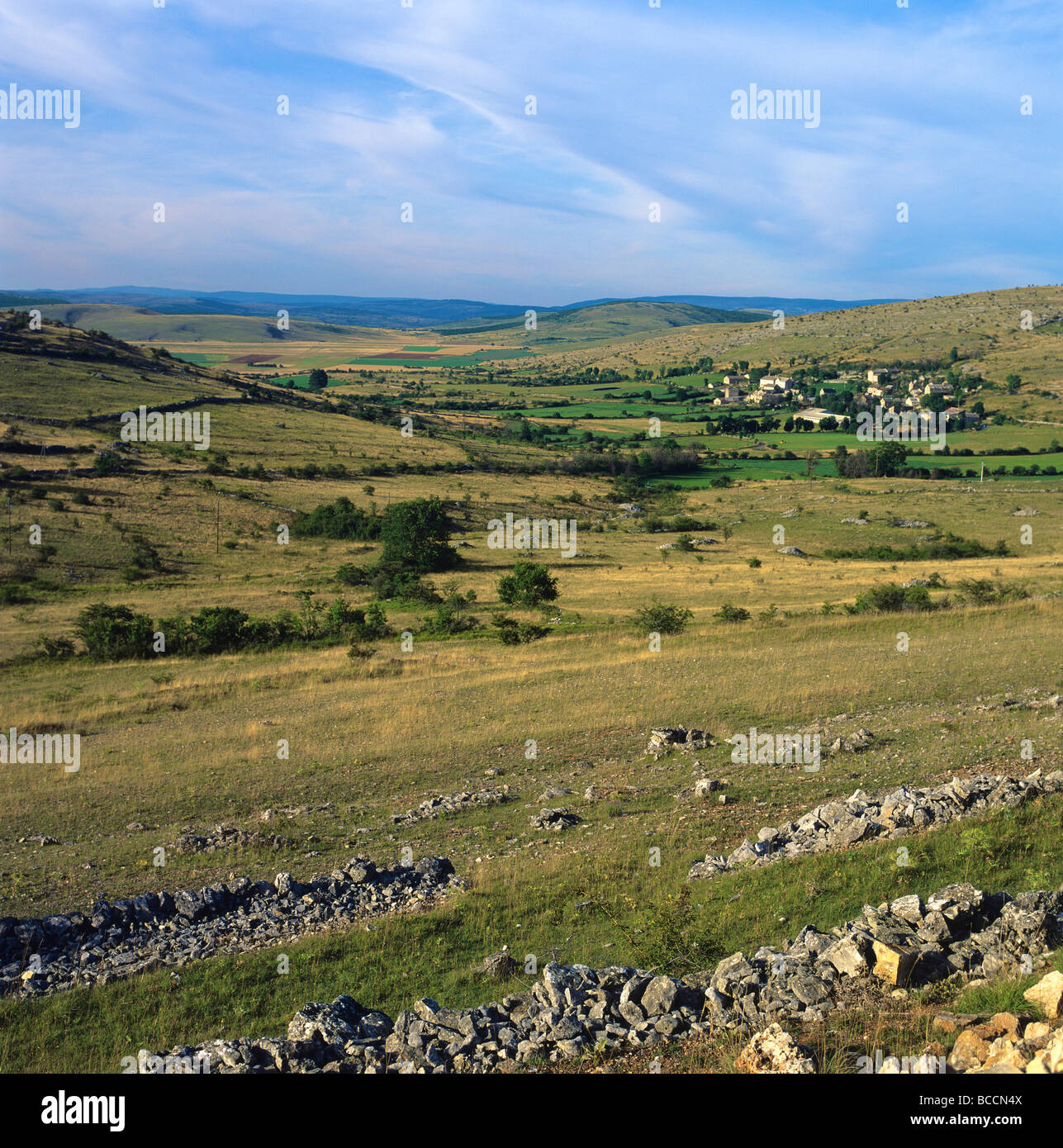 Arido altopiano dei causses. Lozere. La Francia. Foto Stock