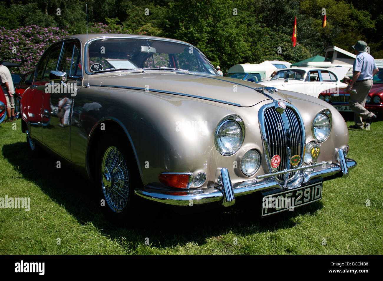Bronze classic jaguar Foto Stock