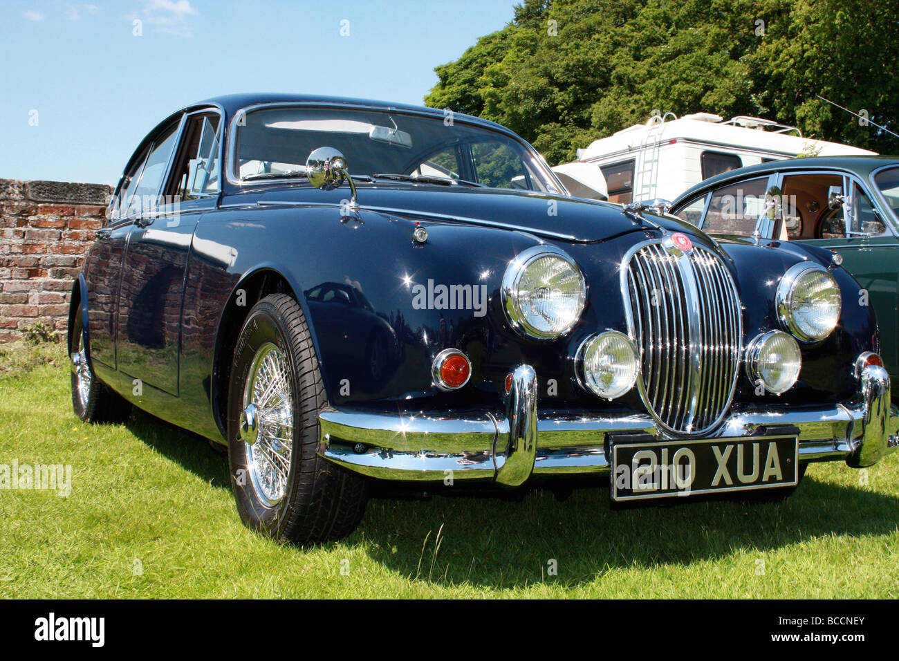 Blue classic jaguar Foto Stock