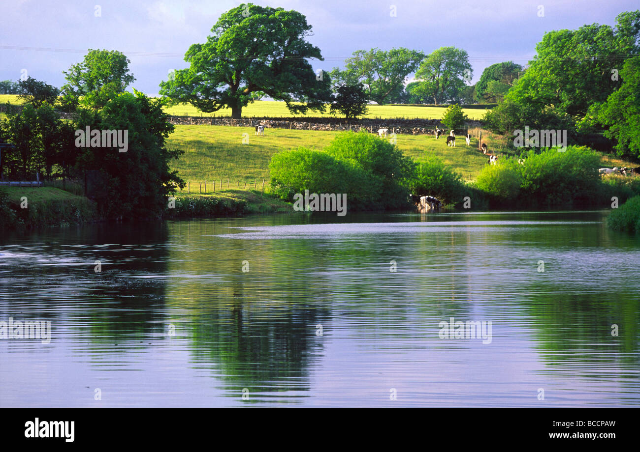 Estate agricola verticale tramonto sul fiume Annan Annandale modo a lunga distanza percorso appena a nord di Annan Scotland Regno Unito Foto Stock