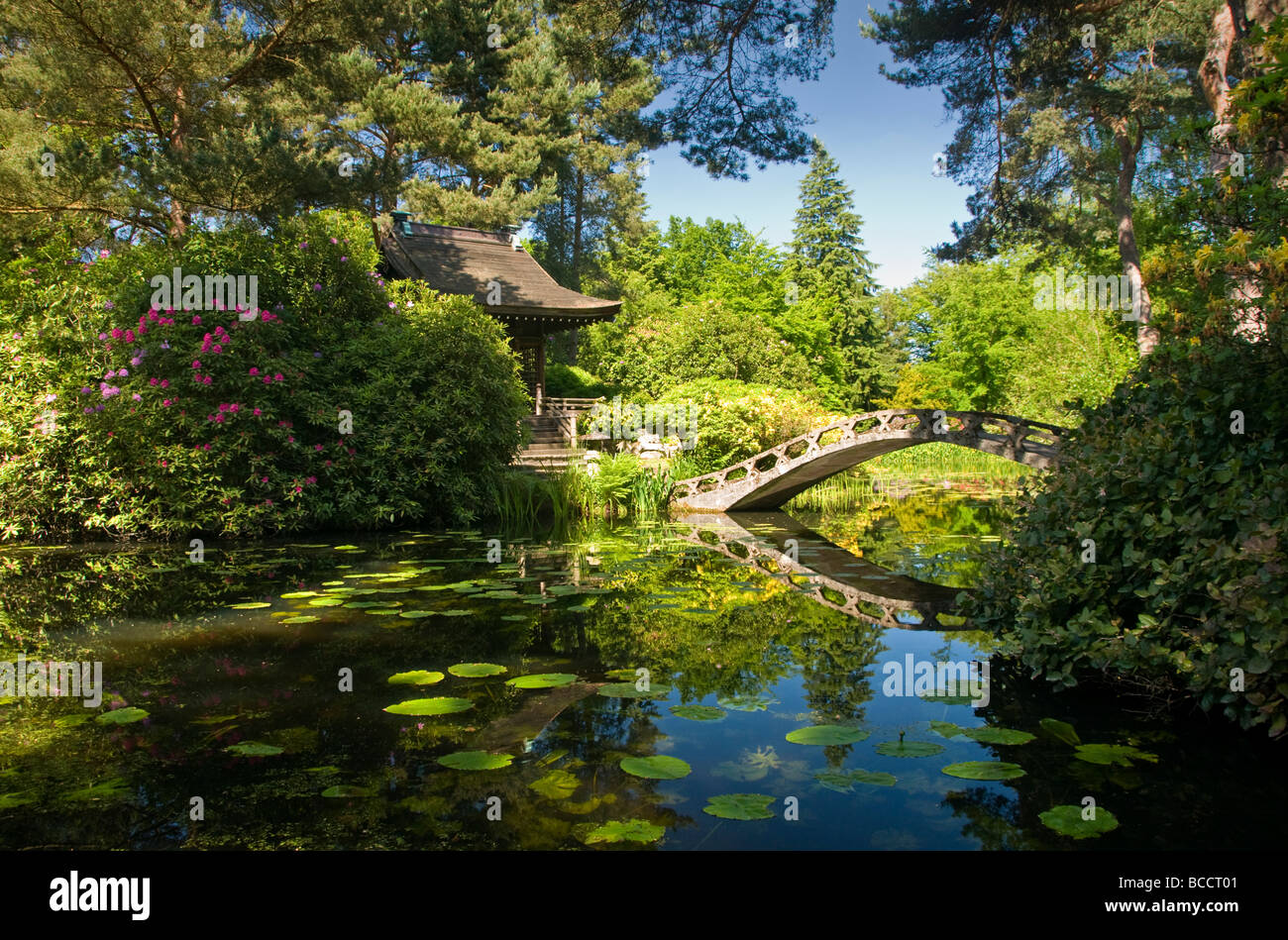 Il giardino giapponese a Tatton Park, vicino a Knutsford, Cheshire, Inghilterra, Regno Unito Foto Stock