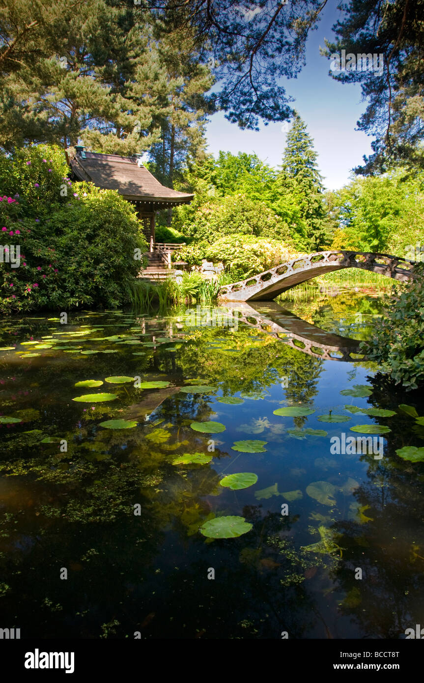 Il giardino giapponese a Tatton Park, vicino a Knutsford, Cheshire, Inghilterra, Regno Unito Foto Stock