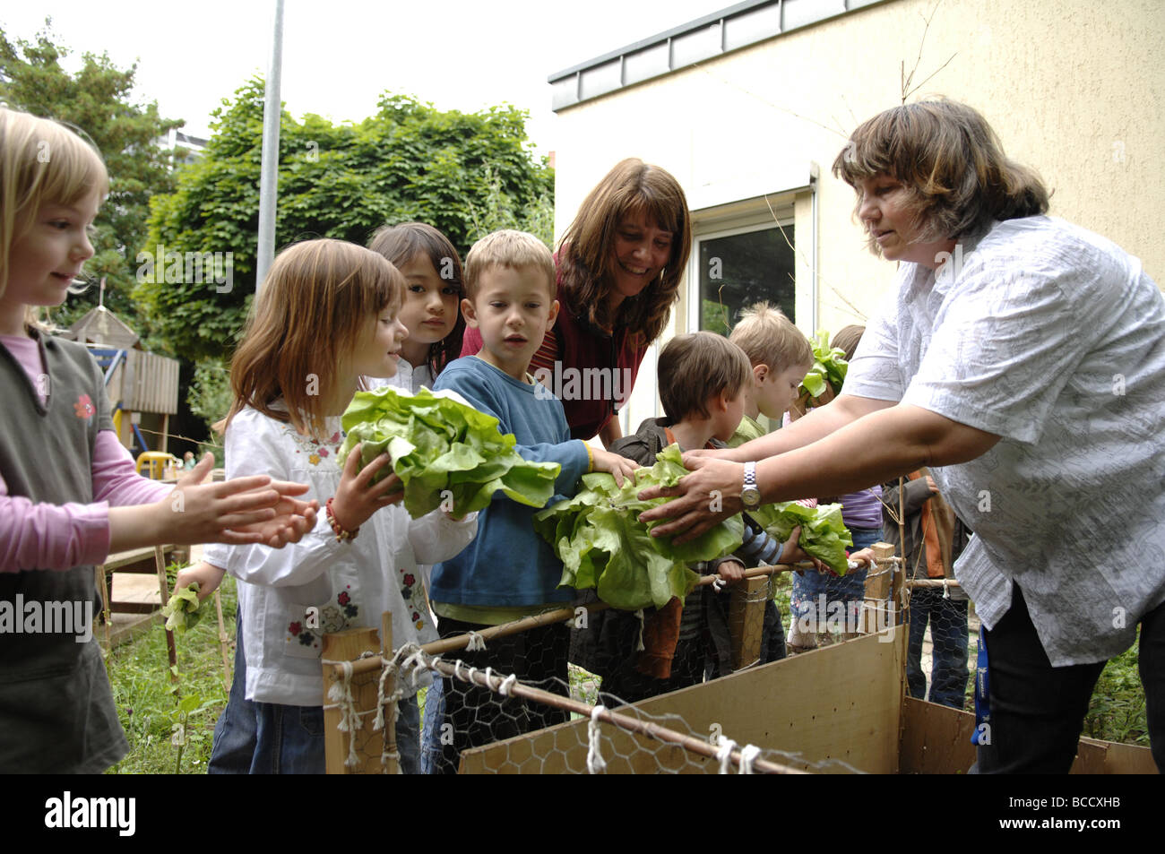 Bambini e insegnante in un giardino vegatable in un asilo nido su un giorno d'estate. Foto Stock