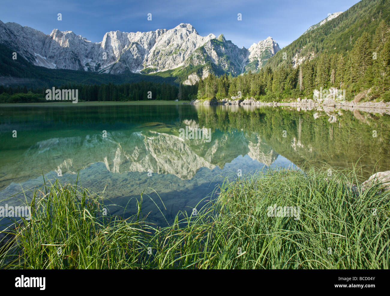 Montagna di MANGRT riflessa nel lago a lagi di Fusine. Alpi Giulie. Italia Foto Stock