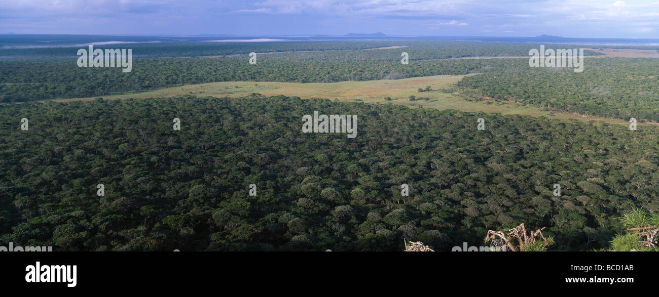 Foresta di MIOMBO & Dambo (falda acquifera) da sopra Muchinga scarpata. northeastern Zambia Foto Stock