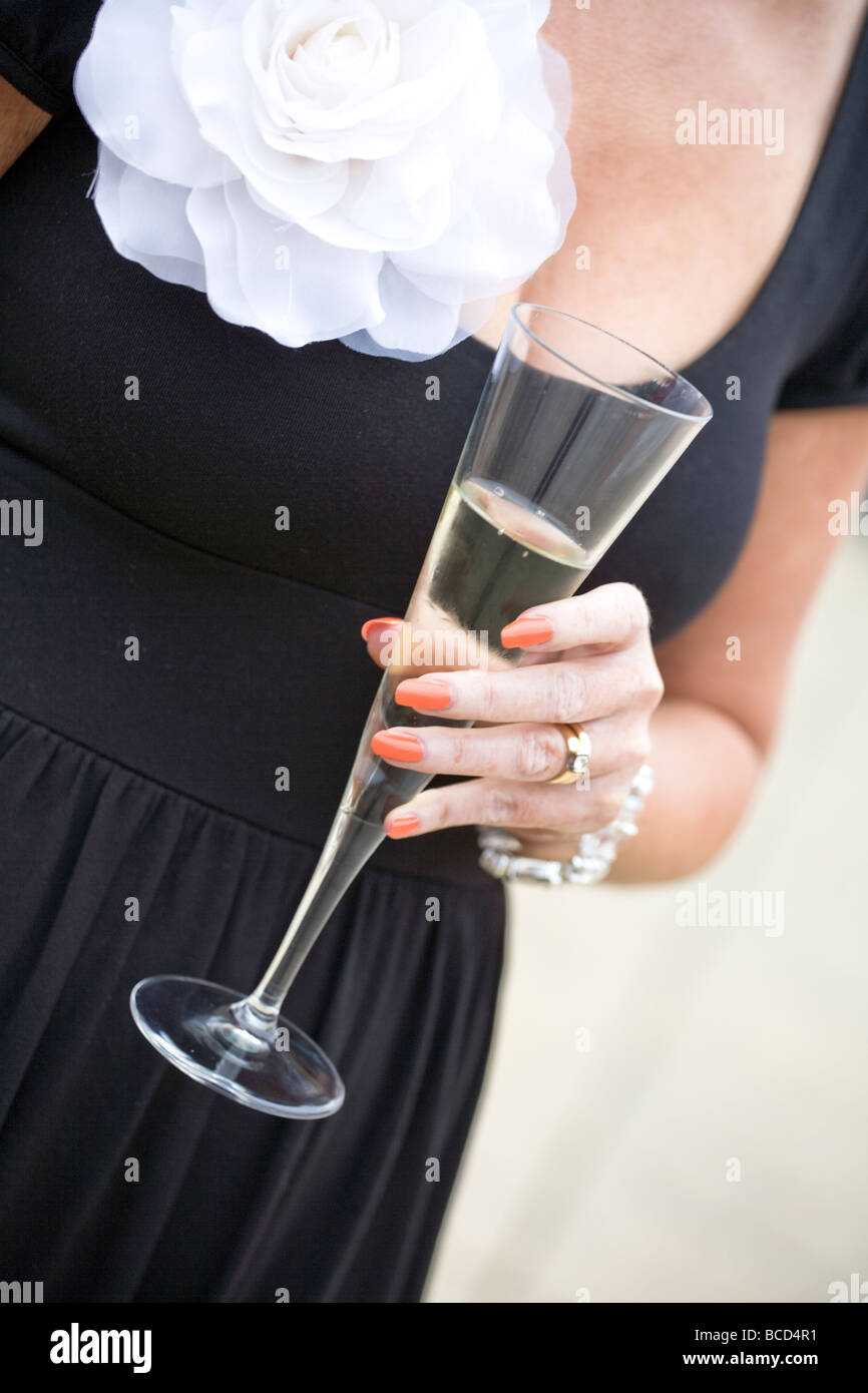 Ospiti di nozze di bere champagne.Modello di rilascio disponibili su richiesta. Foto Stock