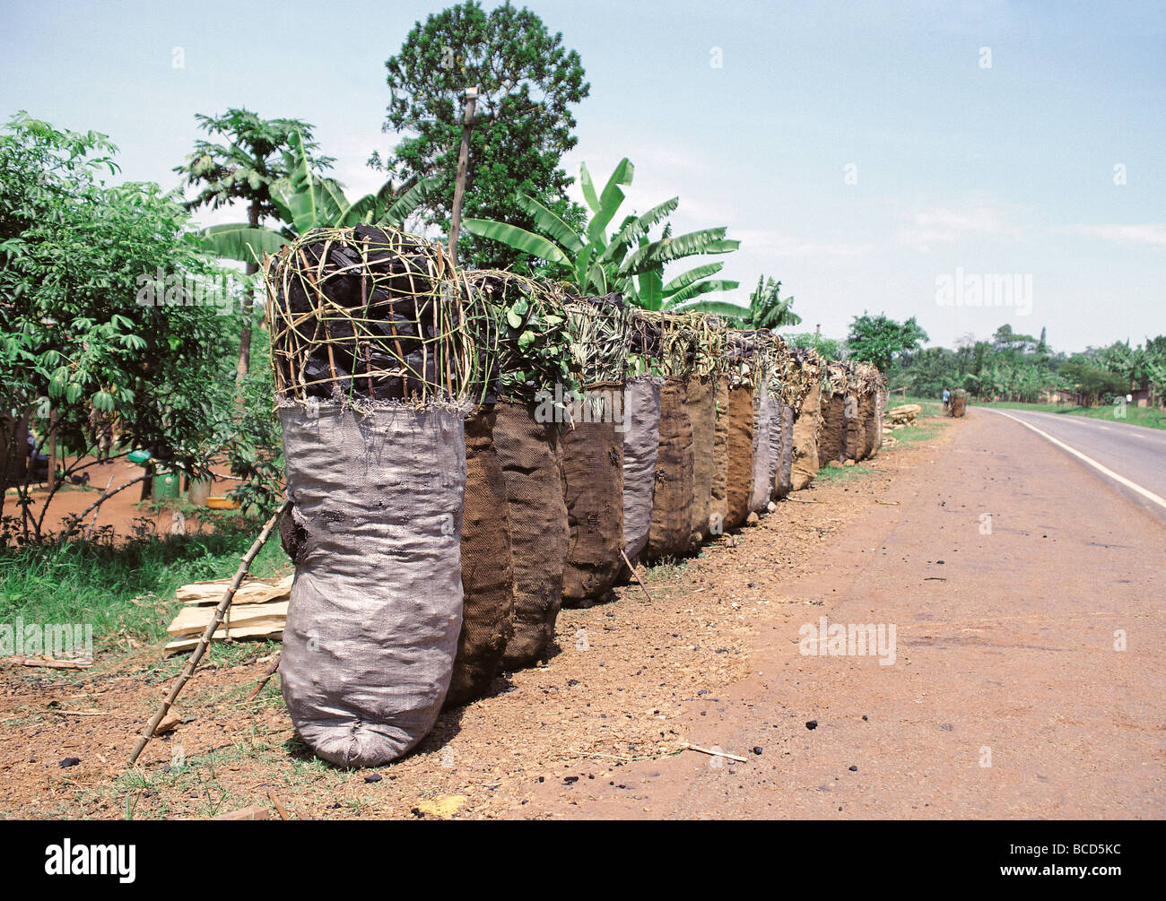 Sacchi di carbone in attesa di raccolta dal lato di Kampala Jinja road Uganda Africa orientale Foto Stock