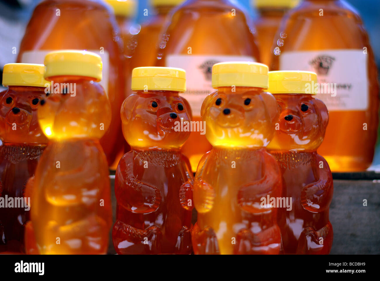 Colorata frutta e verdura ad Evanston Mercato degli Agricoltori. Golden honey bear bottiglie. Foto Stock