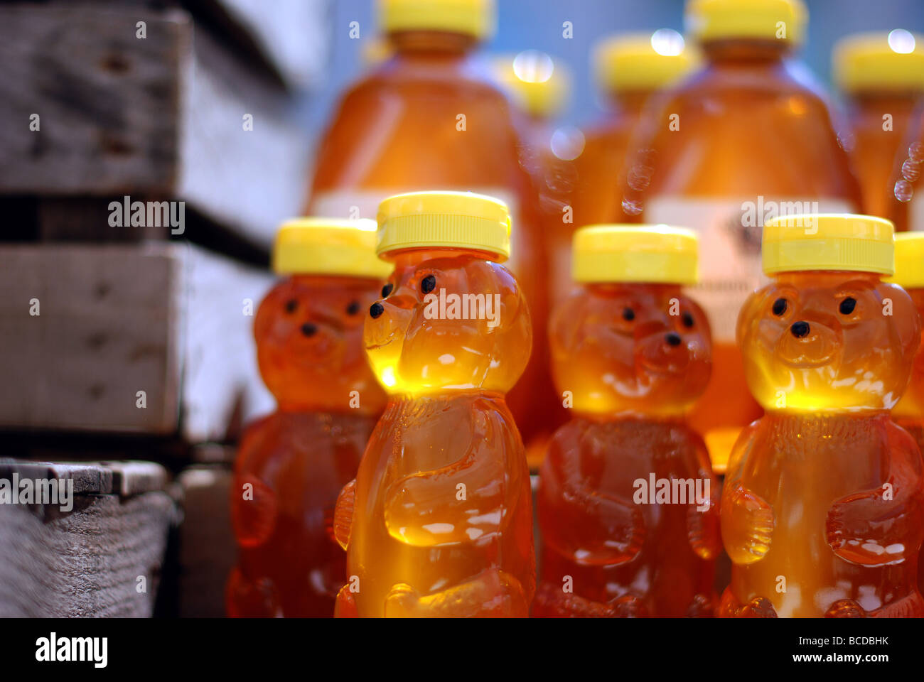 Colorata frutta e verdura ad Evanston Mercato degli Agricoltori. Honey Bear bottiglie Foto Stock