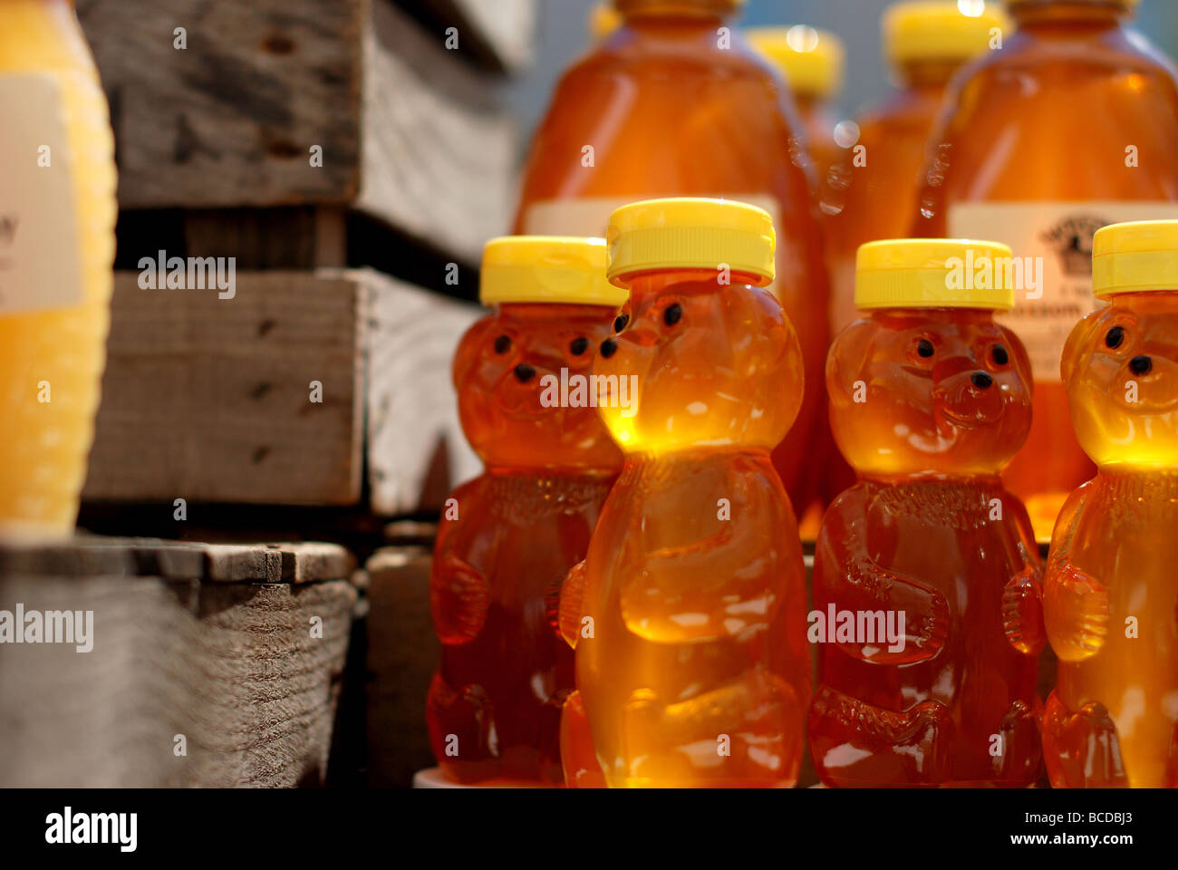 Colorata frutta e verdura ad Evanston Mercato degli Agricoltori. Honey Bear bottiglie Foto Stock