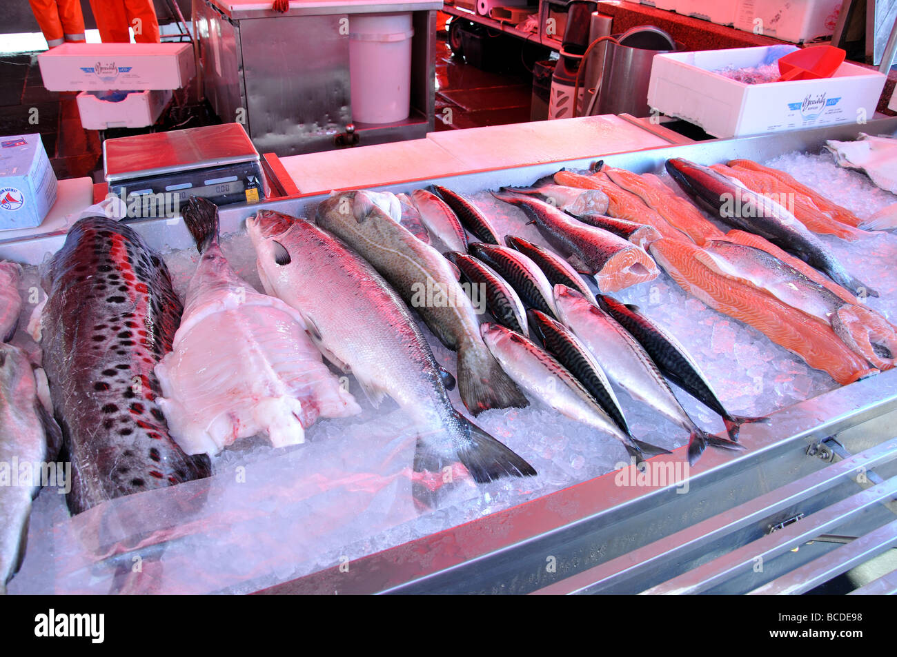 Il pesce per la vendita al mercato del pesce, Torget, Bergen Hordaland, Norvegia Foto Stock