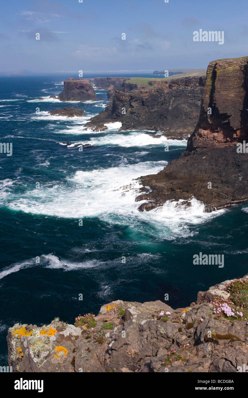 Le scogliere a Eshaness, isole Shetland, Scotland, Regno Unito Foto Stock