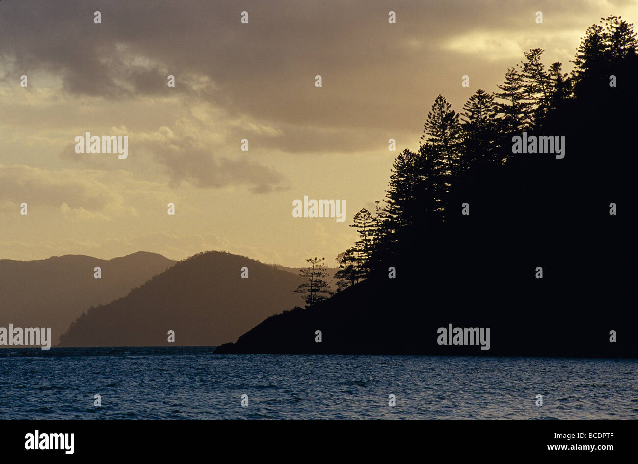 Isola tropicale cime e alberi di pino stagliano al tramonto. Foto Stock