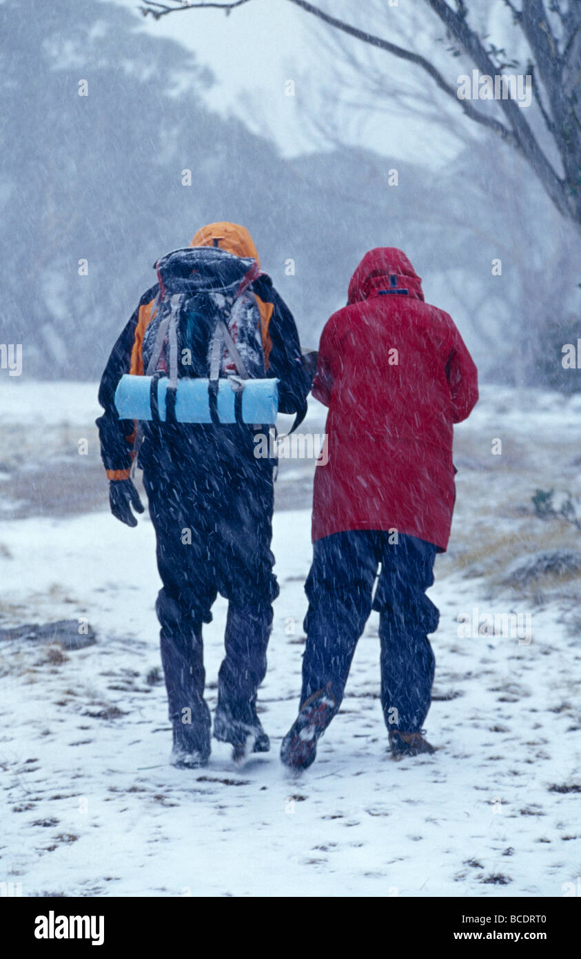 Una giovane coppia escursionismo attraverso una pianura alpina durante una tempesta di neve. Foto Stock