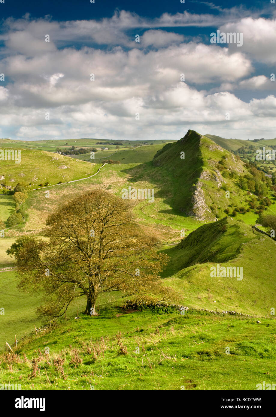 Parkhouse collina dalla collina di cromo, Parco Nazionale di Peak District, Derbyshire, England, Regno Unito Foto Stock