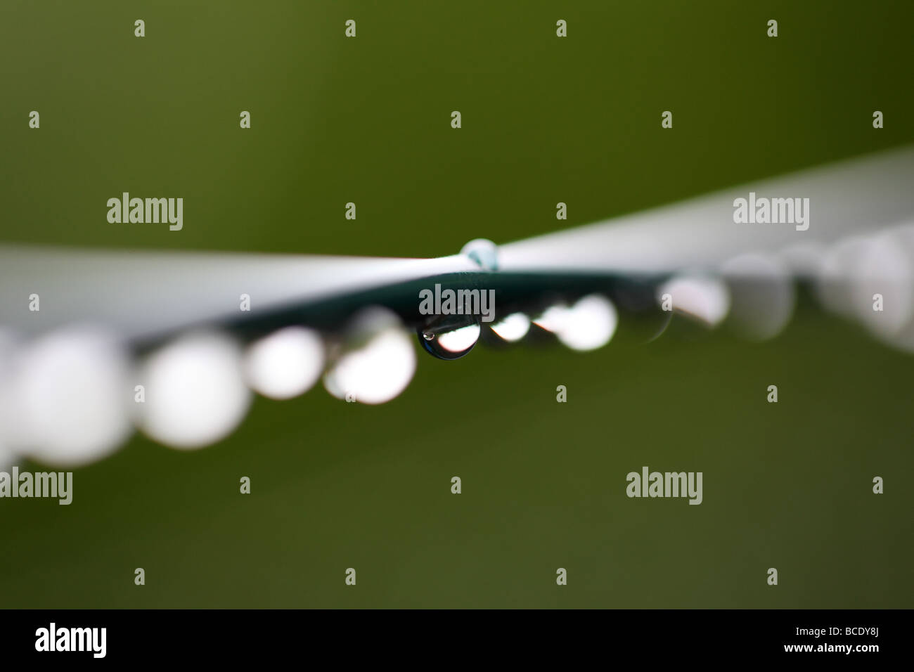 Abstract di gocce di acqua Foto Stock