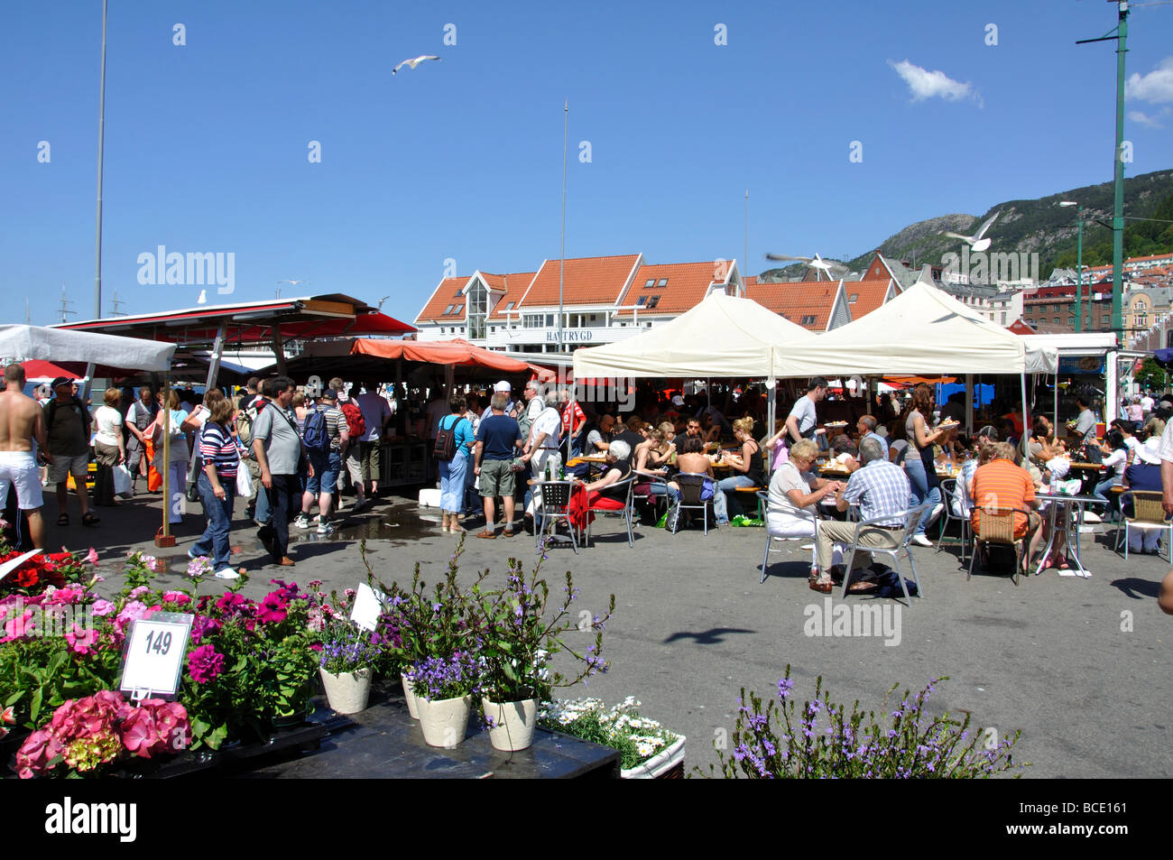 Il mercato del pesce, Torget, Bergen Hordaland, Norvegia Foto Stock