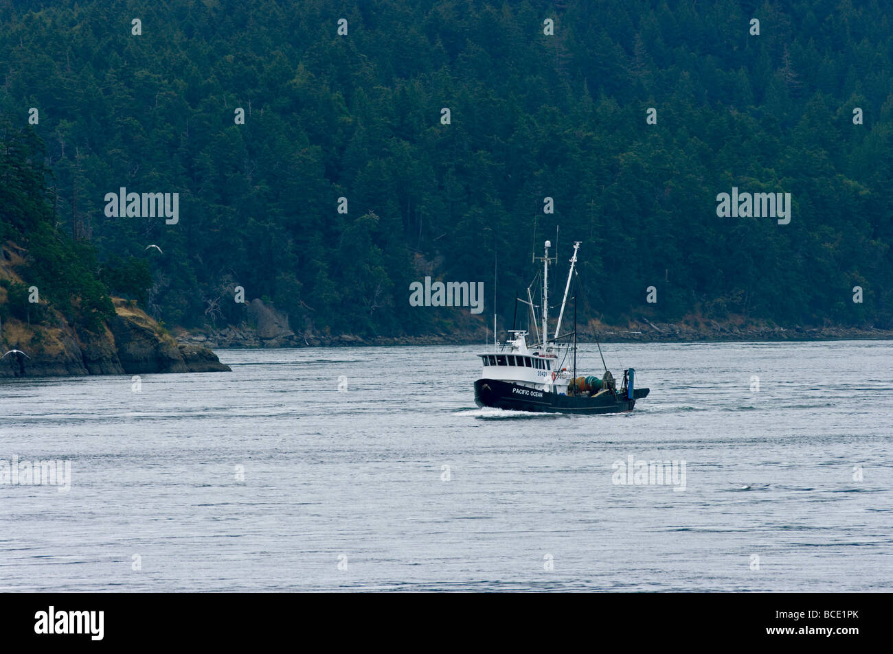 Barca da pesca in attività di passare la British Columbia Foto Stock