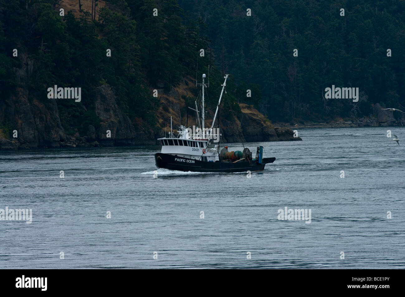 Barca da pesca in attività di passare la British Columbia Foto Stock