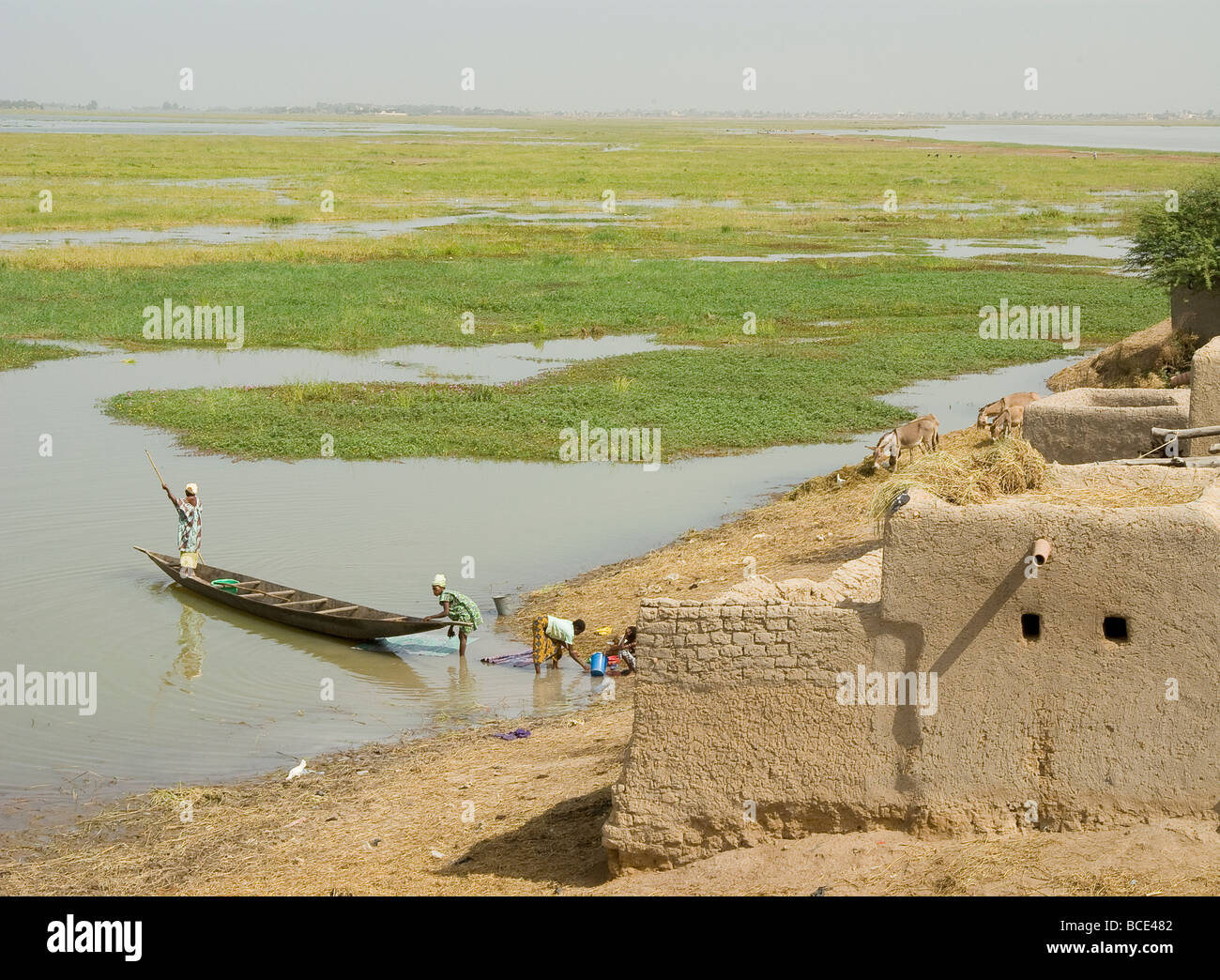 Mali. Il Sahel. Fiume Niger durante la stagione delle piogge. All'interno di delta. Foto Stock