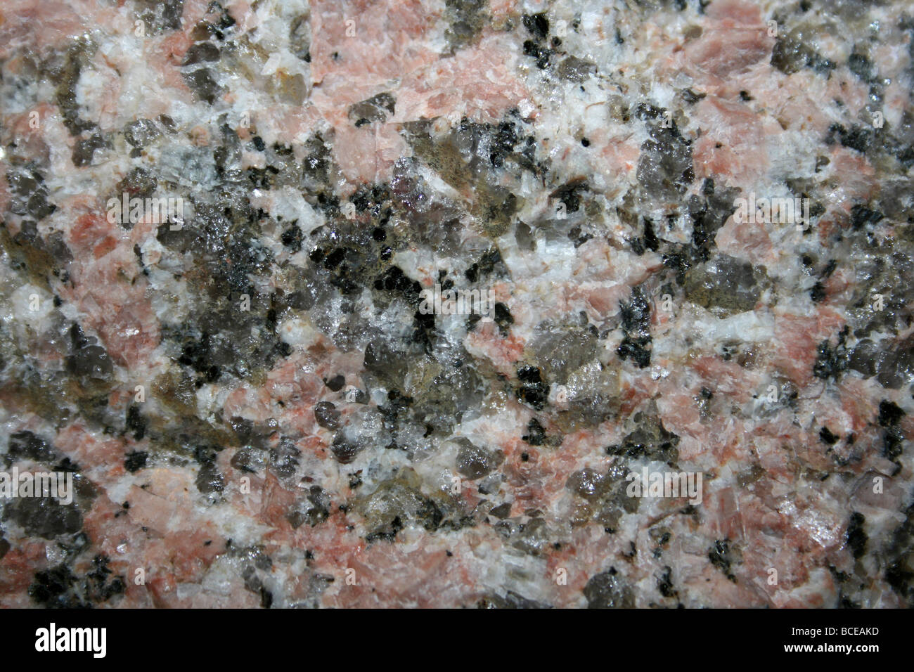 Shap granito, Cumbria, Regno Unito un distintivo a grana grossa di granito con grande rosa ortoclasio anche di feldspato e quarzo biotite e plagioclase feldspar Foto Stock