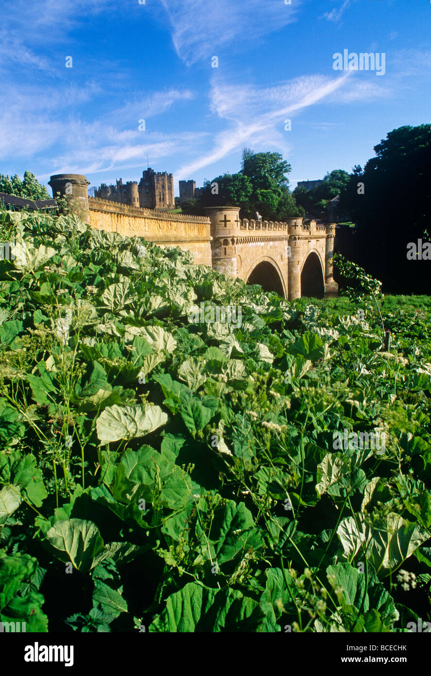 Inghilterra, Alnwick Castle, Northumberland. Alnwick Castle è il secondo più grande castello abitato in Inghilterra. Il aka "Hogwarts.". Foto Stock