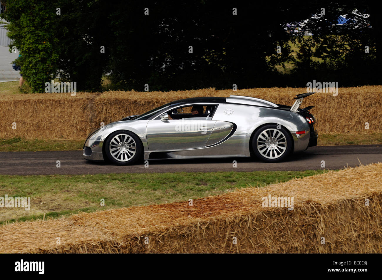 Bugatti Veyron Pur Sang a 2009 Goodwood Festival della velocità Foto Stock